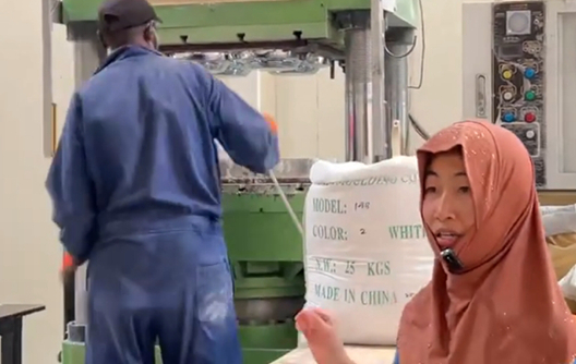 High Speed 300-Ton Single Color Press Machine for Plates & Bowls